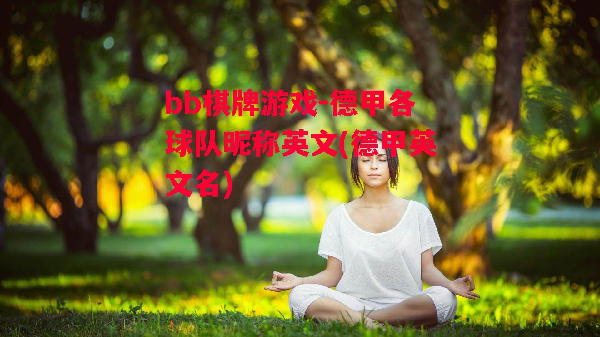 德甲各球队昵称英文(德甲英文名)